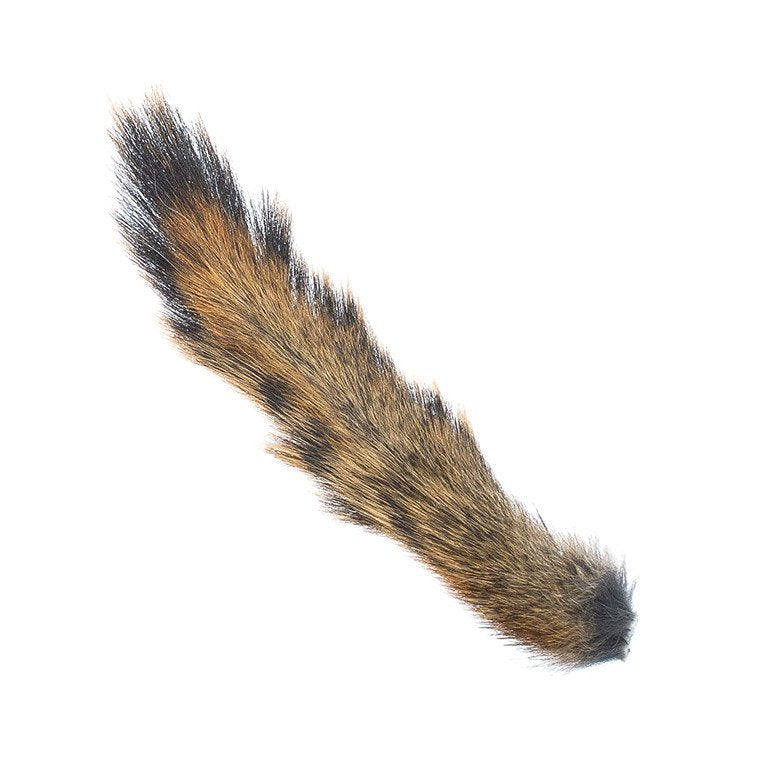 Wapsi - Squirrel Tail