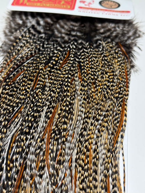 Whiting Farms Bronze Saddle: CREE SH-E-038