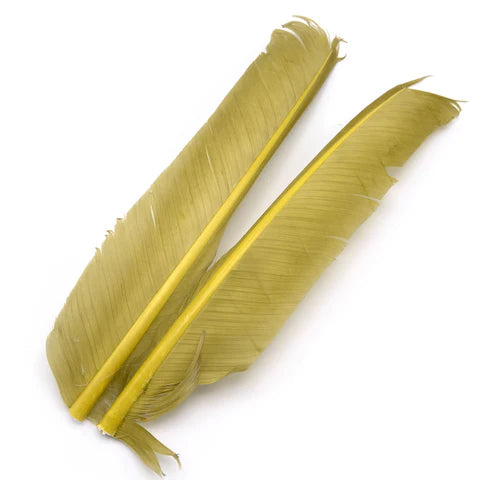 Hareline - Turkey Biot Quills