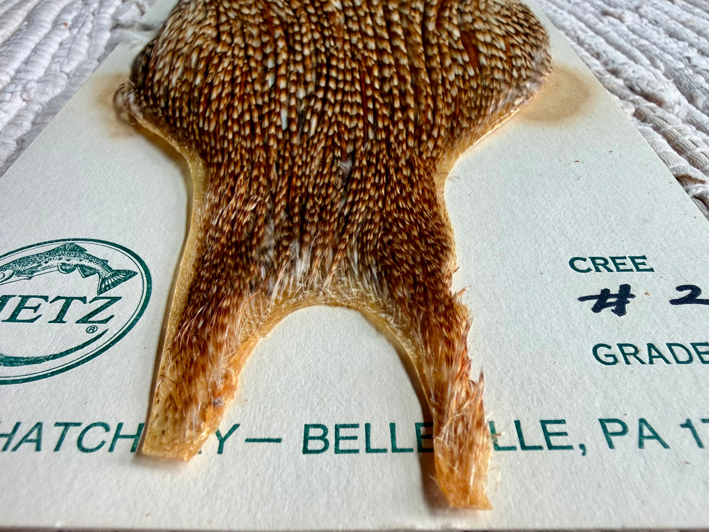 Metz Grade #2 Cape Cree 759-SH-E-L