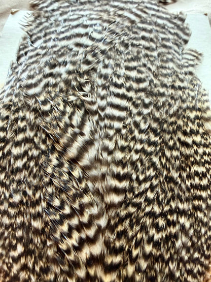 Metz Grade 2 Hen Cape Grizzly 529-SH-E-L