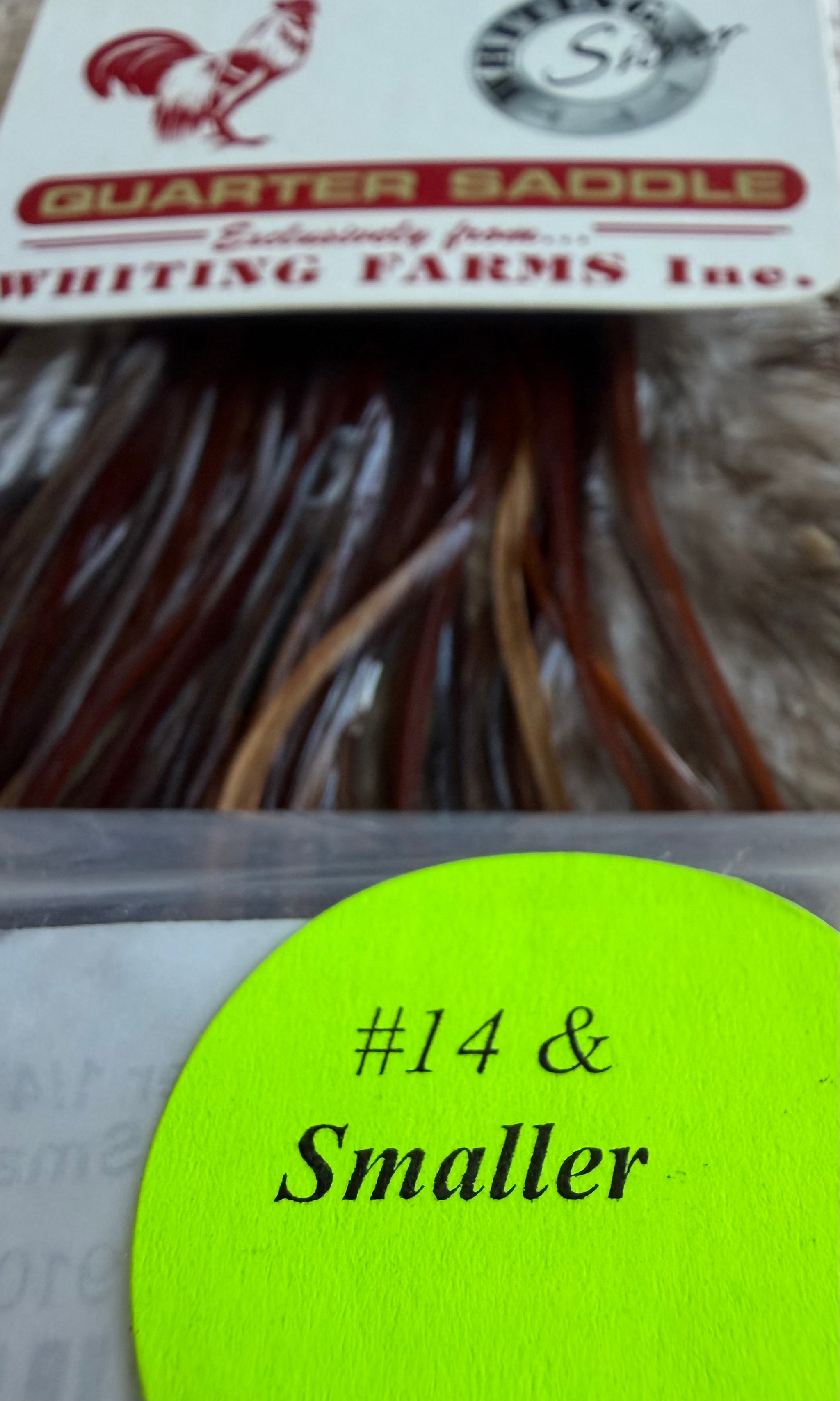 Whiting Silver 1/4 Saddle #14 & Smaller Brown 819-SH-E-L