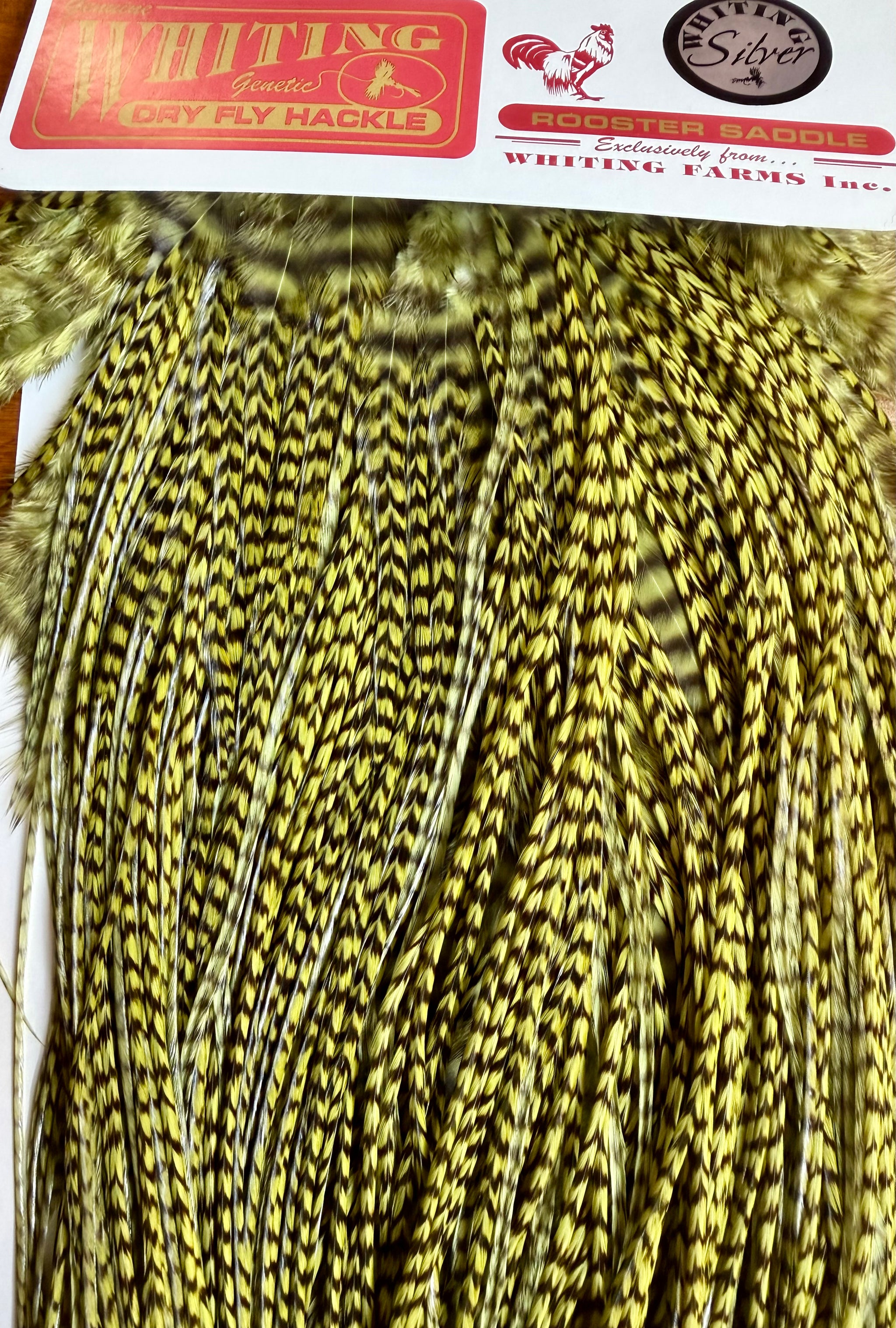 Whiting Farms Silver Midge Rooster Saddle Grizzly dyed Olive 791-SH-E-L