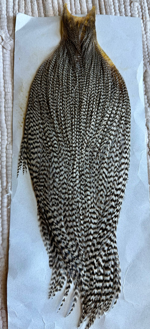 Grizzly Cape 852-SH-E-L