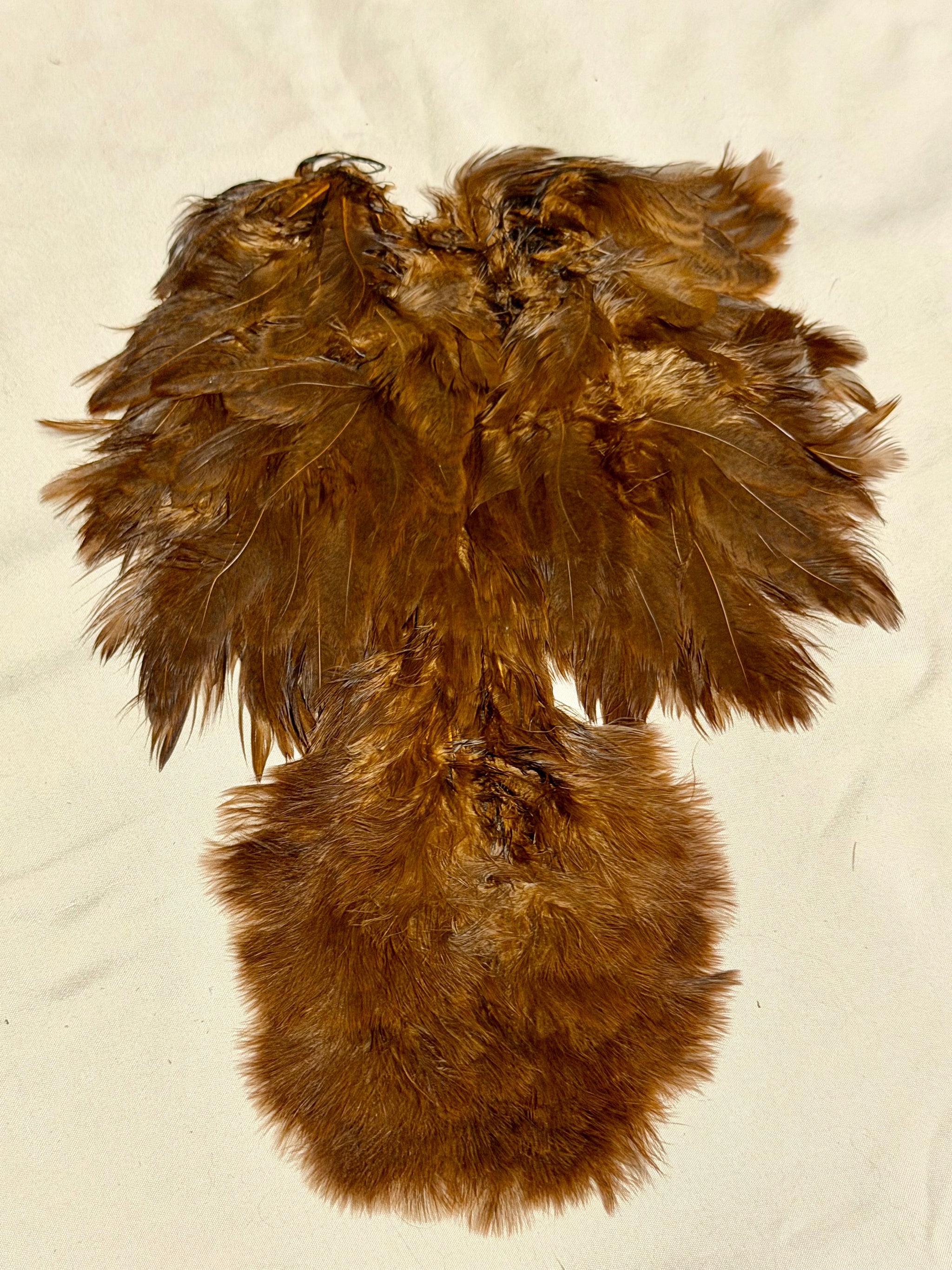 Whiting Farms Soft Hackle Brahma Hen Chickabou Pelt Mottled Gray dyed Natural Brown Speckled 219-SH-E-L