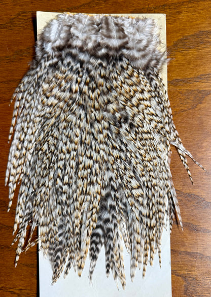 Metz Saddle, CREE 685-SH-E-L