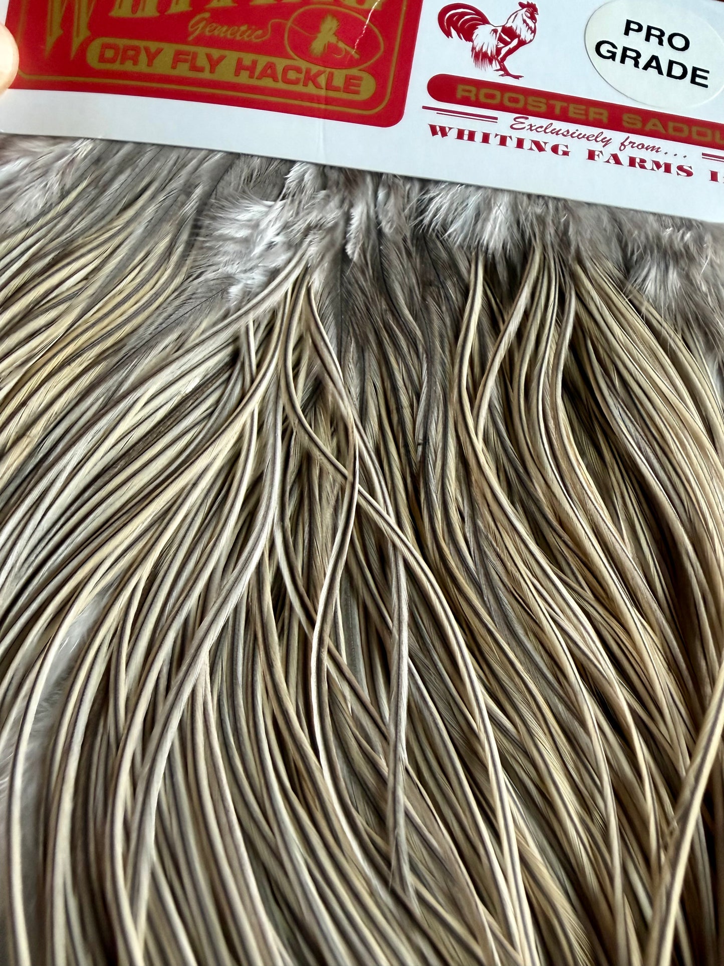 Whiting Pro Grade Midge Rooster Saddle Natural Dun 657-SH-E-L