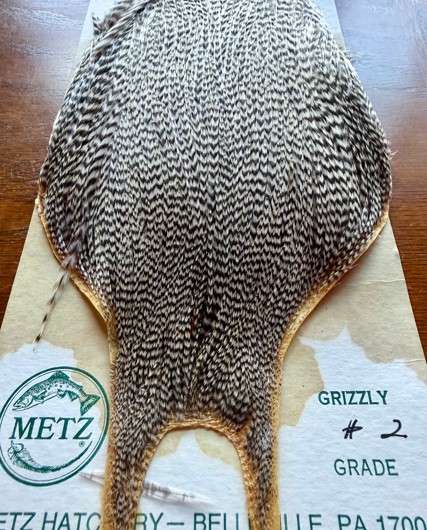 Metz Cape Grade #2 Grizzly 423-SH-E-L