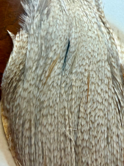Metz Grade #2 Cape Barred Sandy Dun 413-SH-E-L