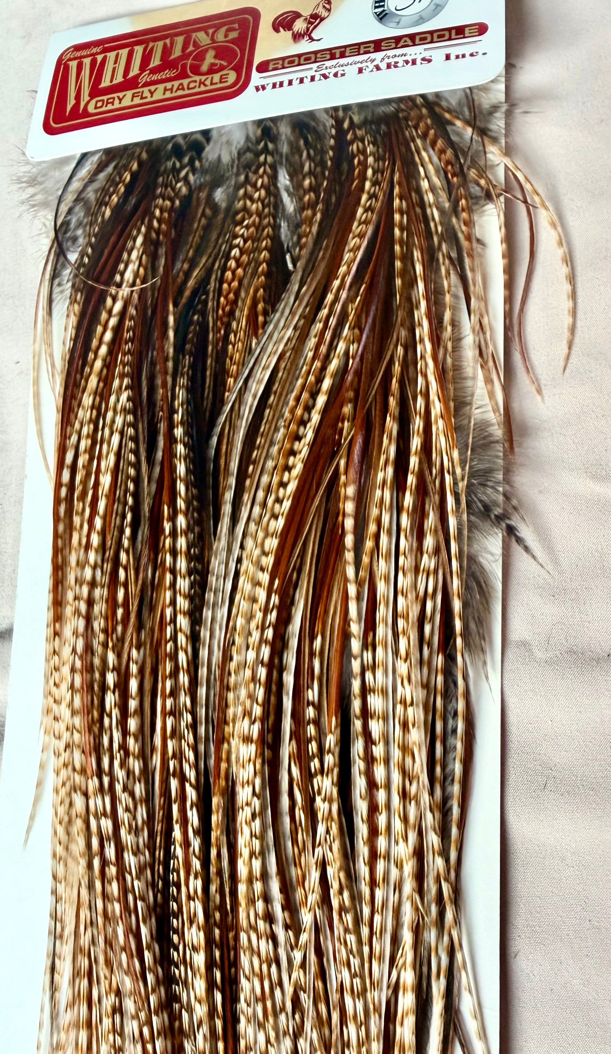 Whiting Silver-Grade Rooster Saddle Barred Dark Ginger 200-SH-E-L