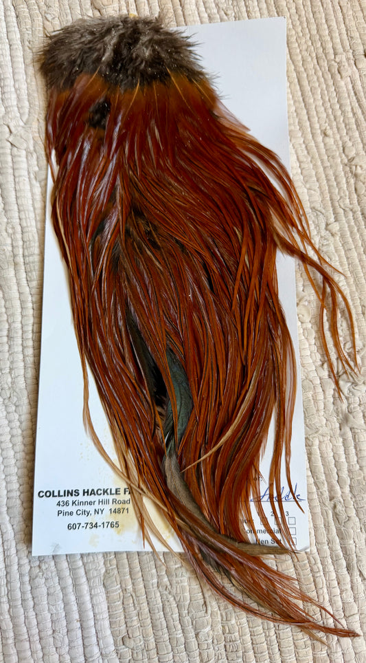 Collins Hackle Farm Brown Saddle 815-SH-E-L