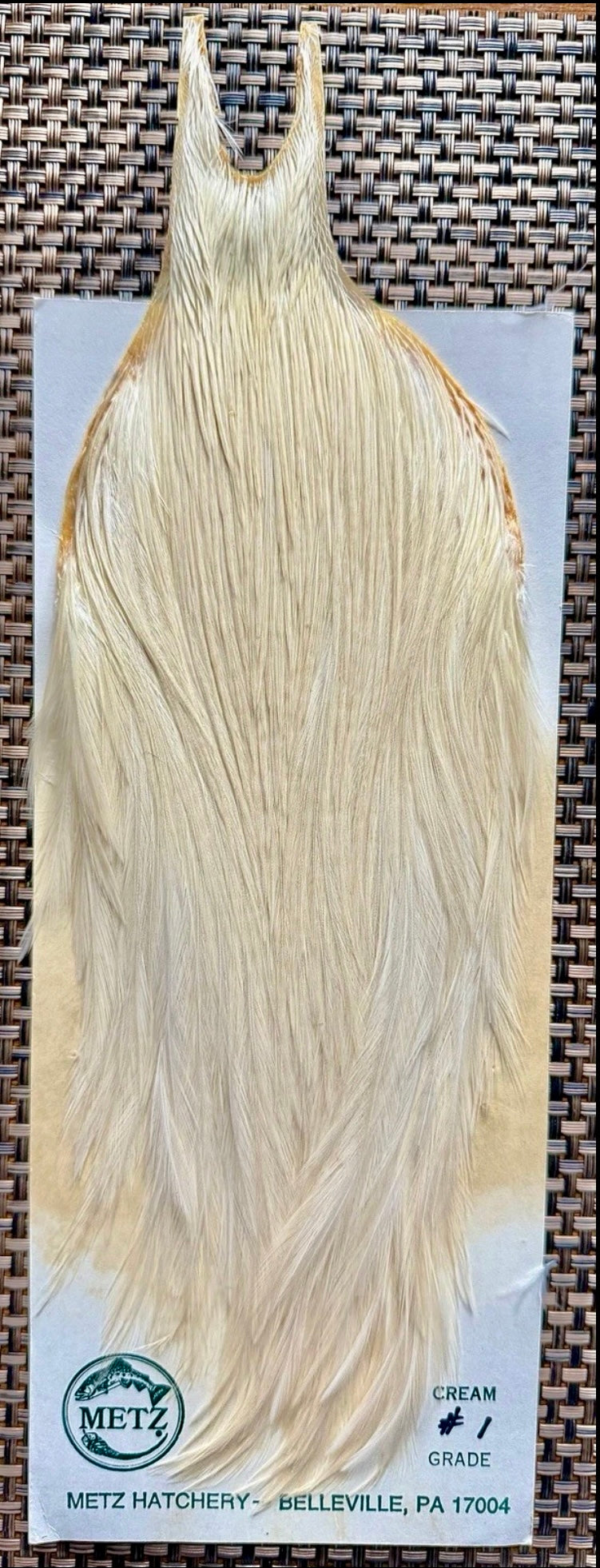 Metz Cape #1 Cream 169-SH-E-L