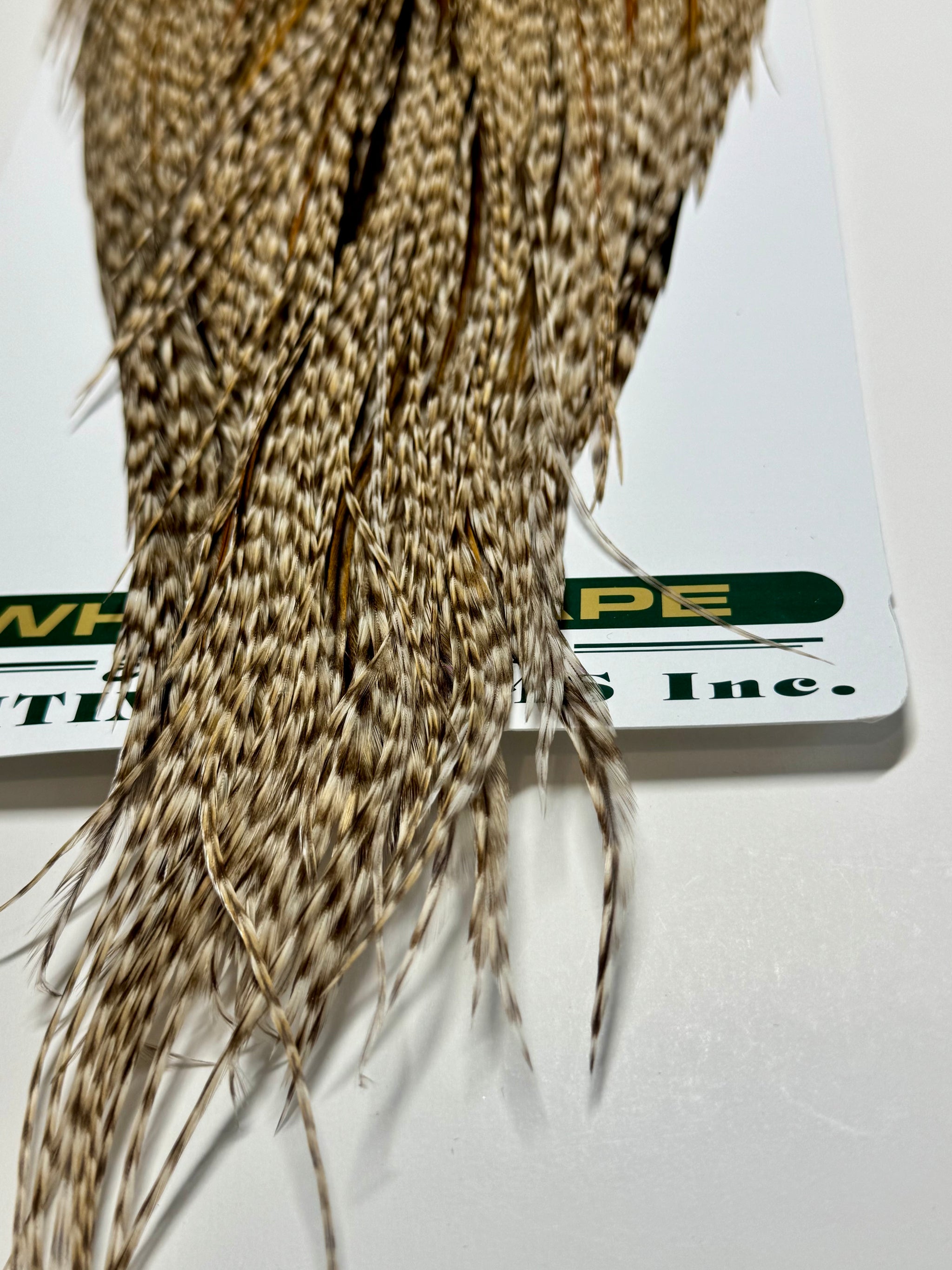 Whiting Farms SILVER Cape: Dun Grizzly- Hint of Dun Cree