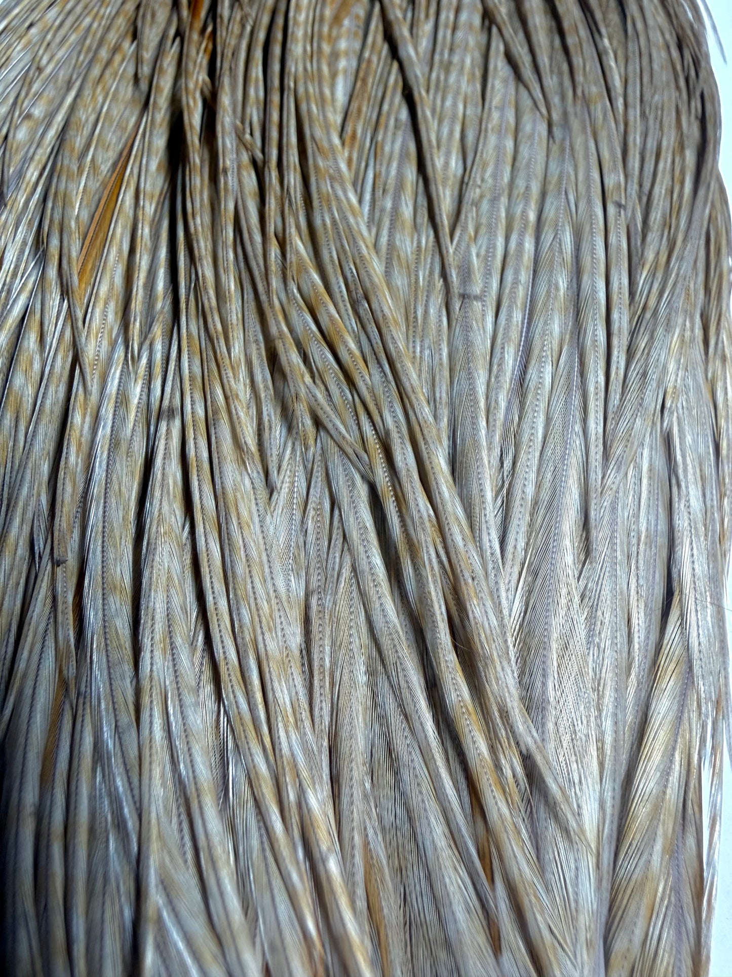 Whiting Farms Bronze Grade Cape Unique Variant 674-SH-E-L