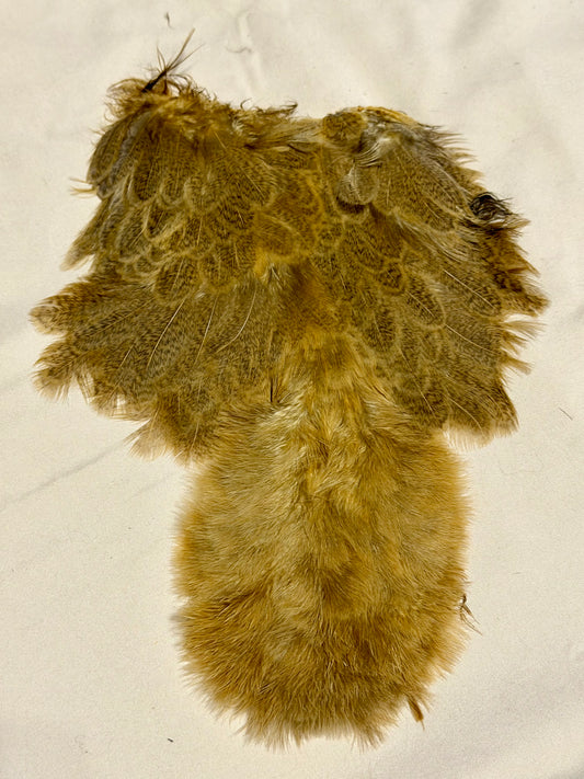 Whiting Farms Soft Hackle Brahma Hen Chickabou Pelt Mottled Gray dyed March Brown 207-SH-E-L