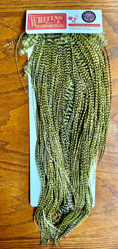 Whiting Farms Silver Midge Rooster Saddle Grizzly dyed Olive 791-SH-E-L