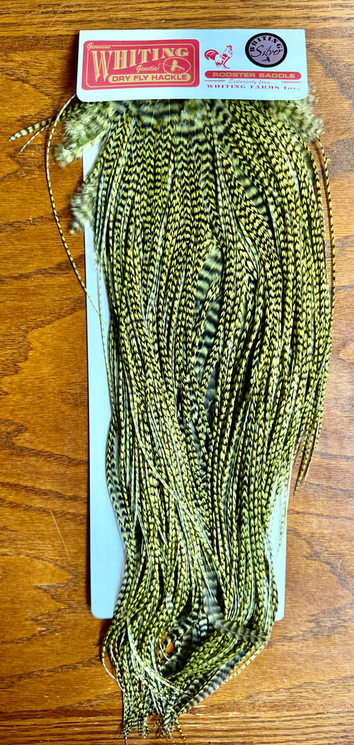 Whiting Farms Silver Midge Rooster Saddle Grizzly dyed Olive 791-SH-E-L