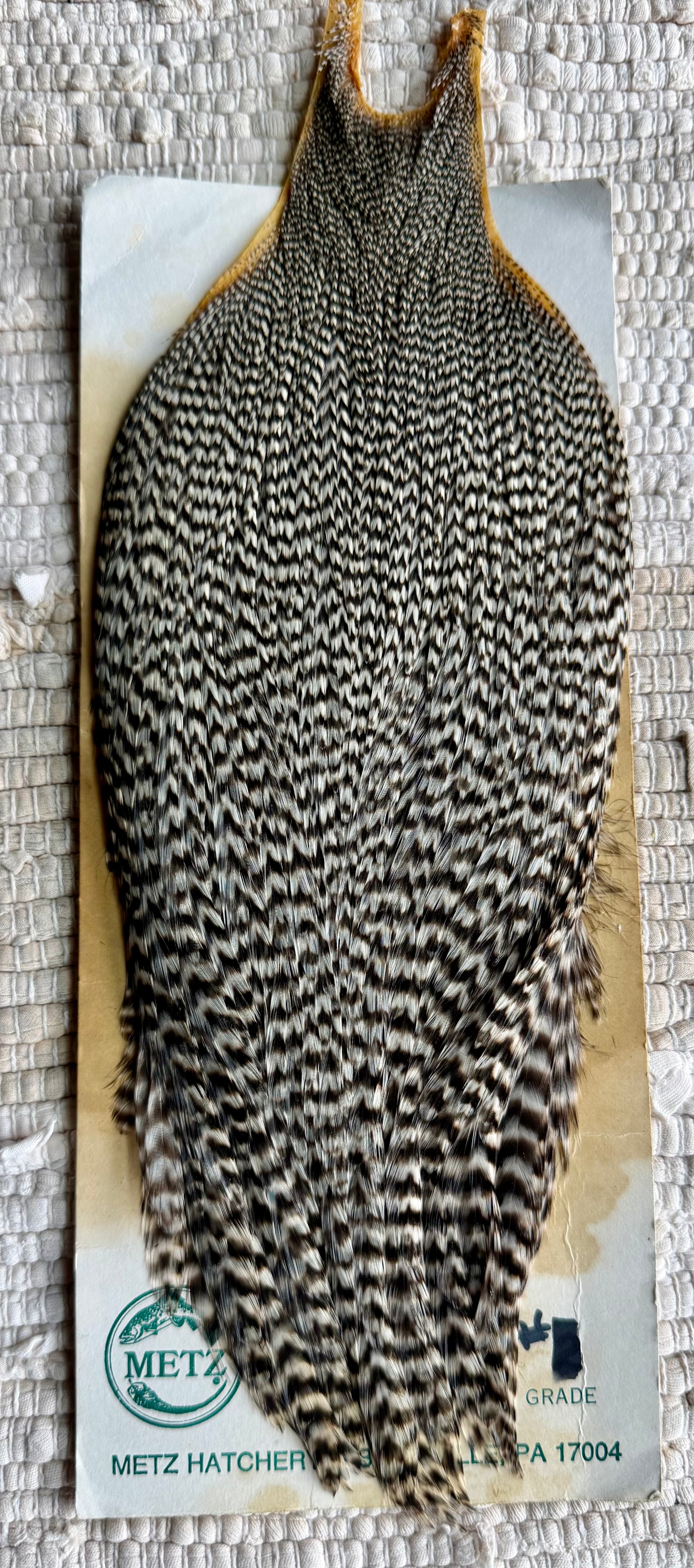 Metz Grade #1 Cape Grizzly 835-SH-E-L