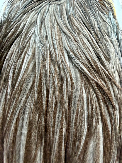 Whiting Hebert Miner Hen Cape Dark Grey Dun 362-SH-E-L