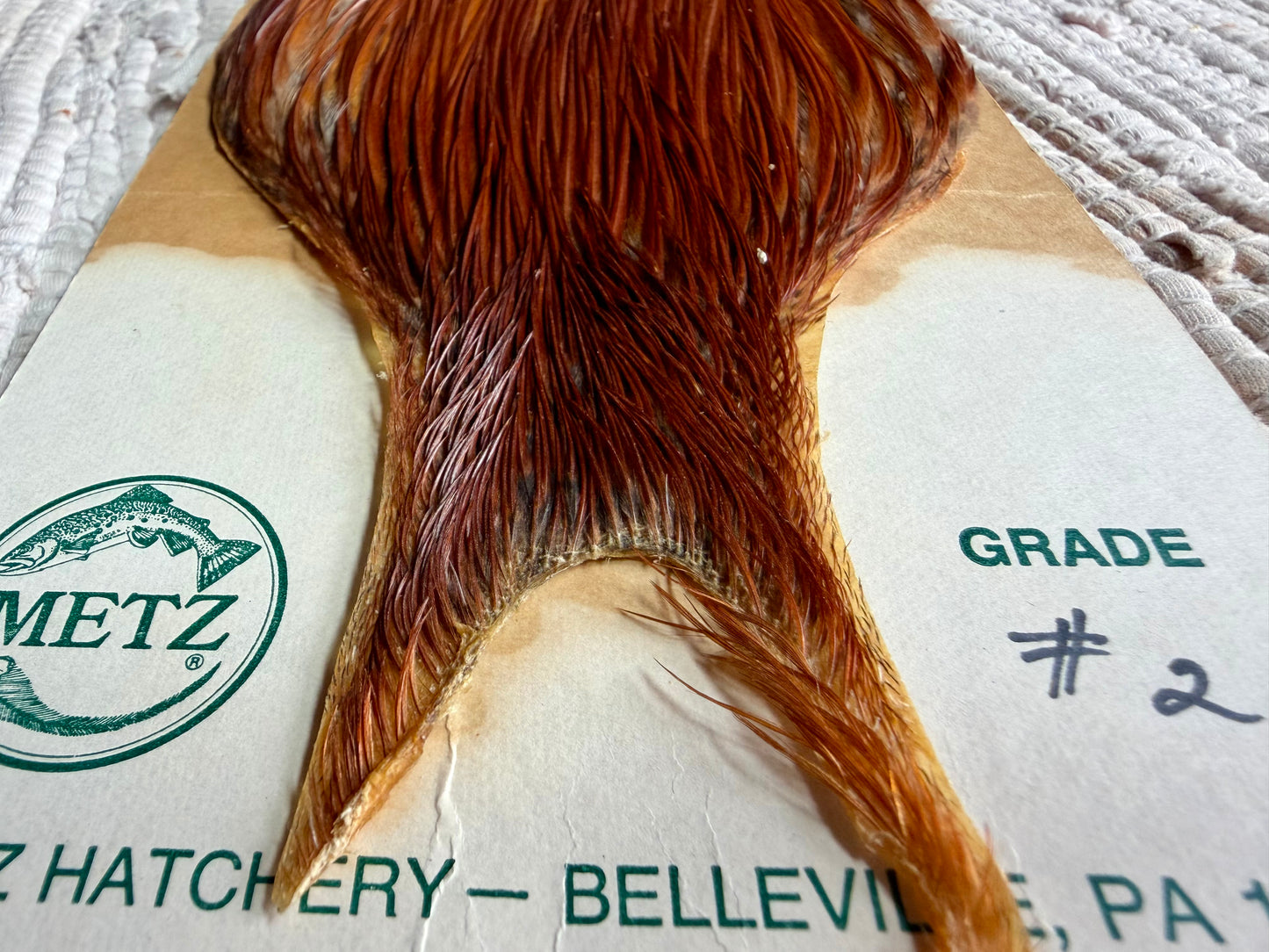 Metz Grade #2 Cape Brown 757-SH-E-L