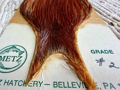 Metz Grade #2 Cape Brown 757-SH-E-L