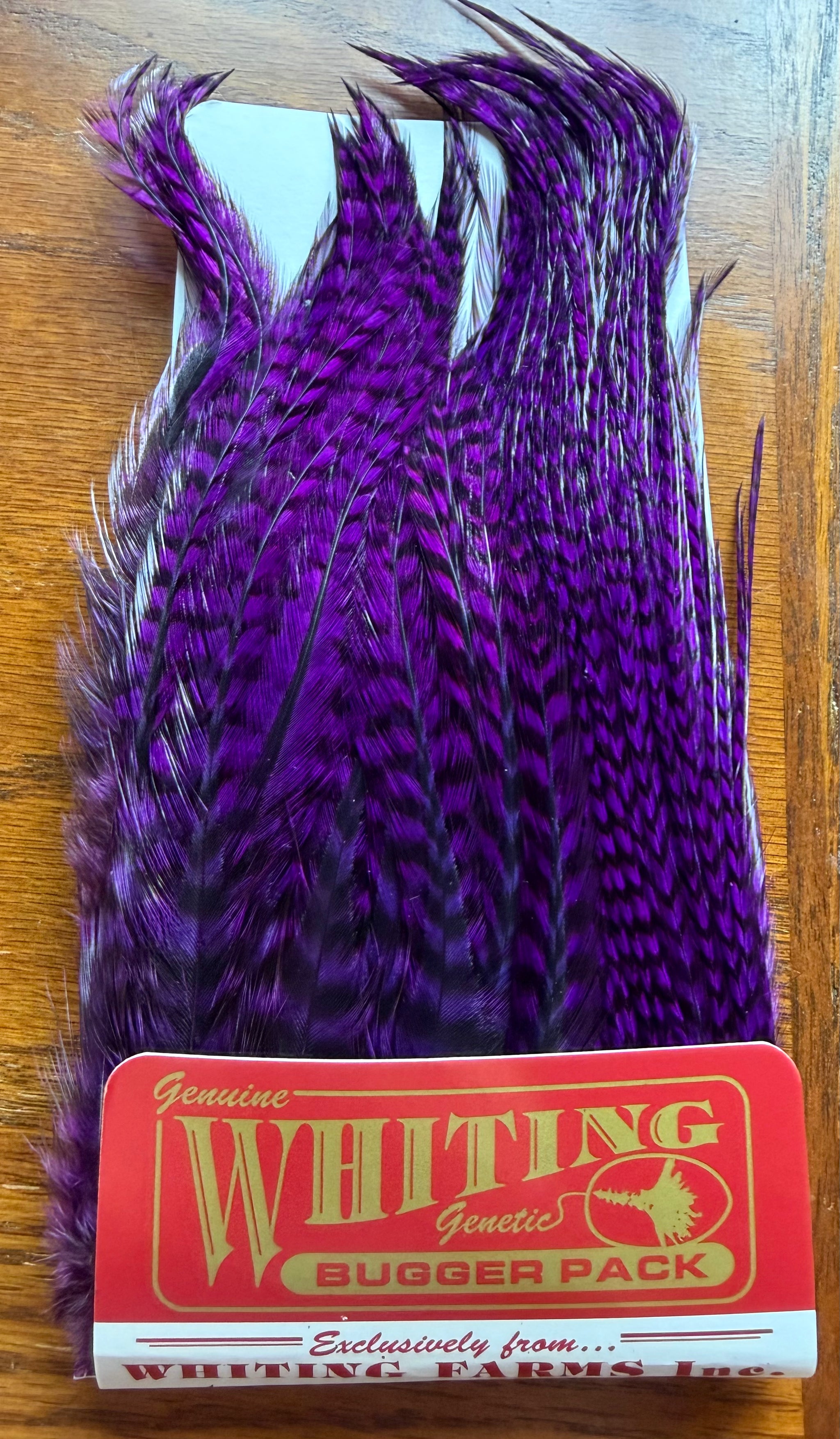 Whiting Farms Bugger Pack Purple 319-SH-E-L