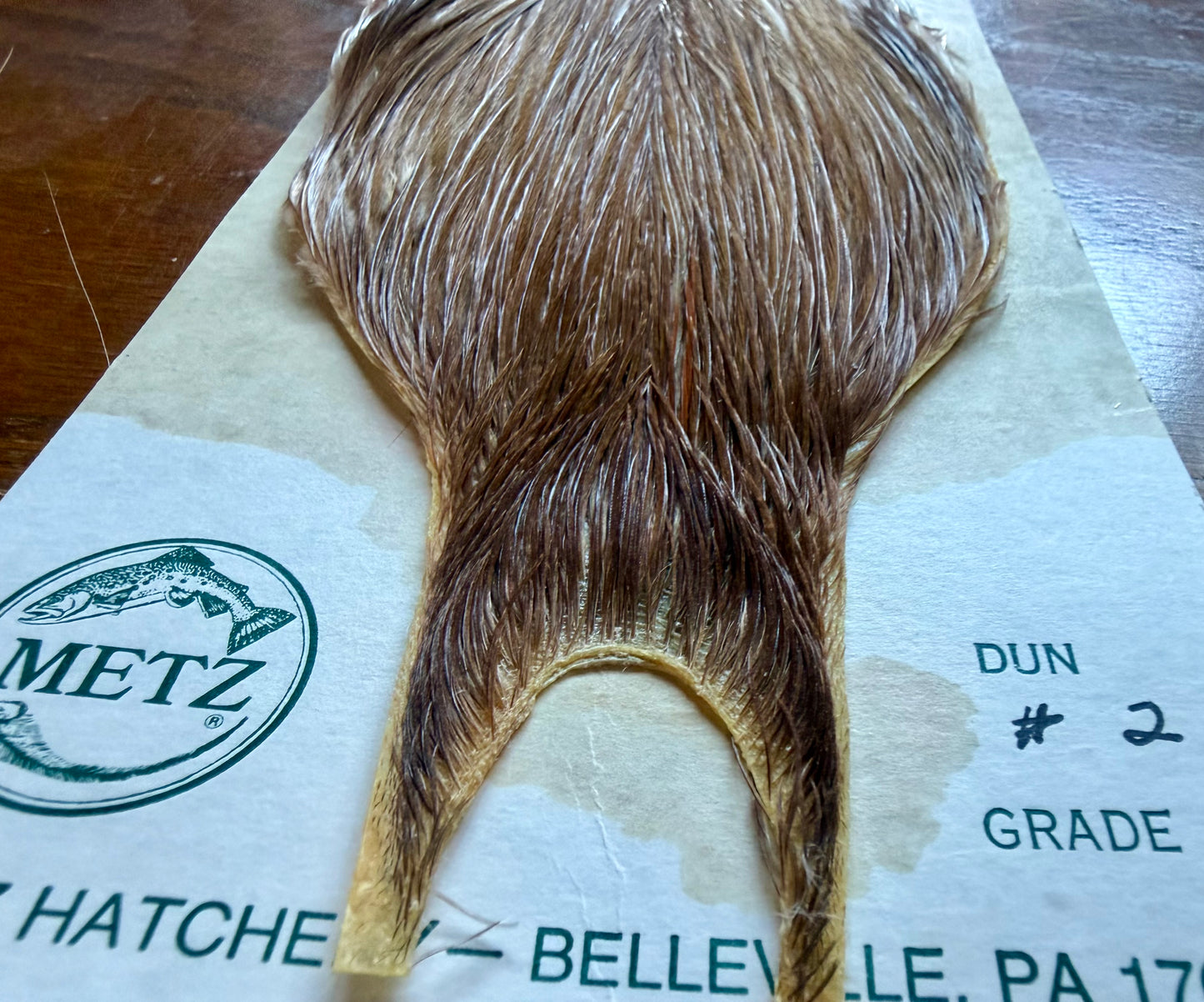 Metz Grade #2 Cape Dun 520-SH-E-L