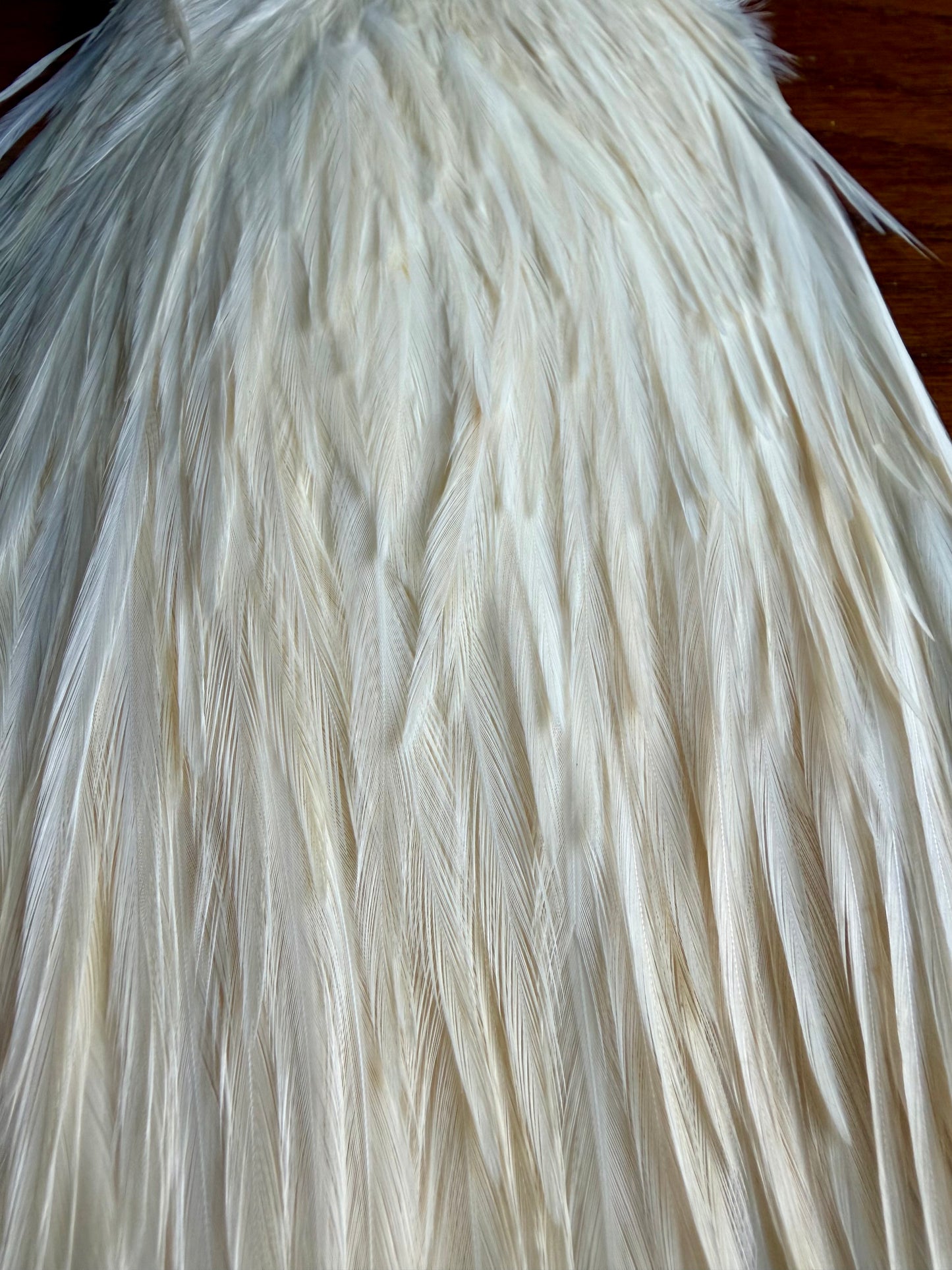 Metz #2 Saddle, Cream 596-SH-E-L