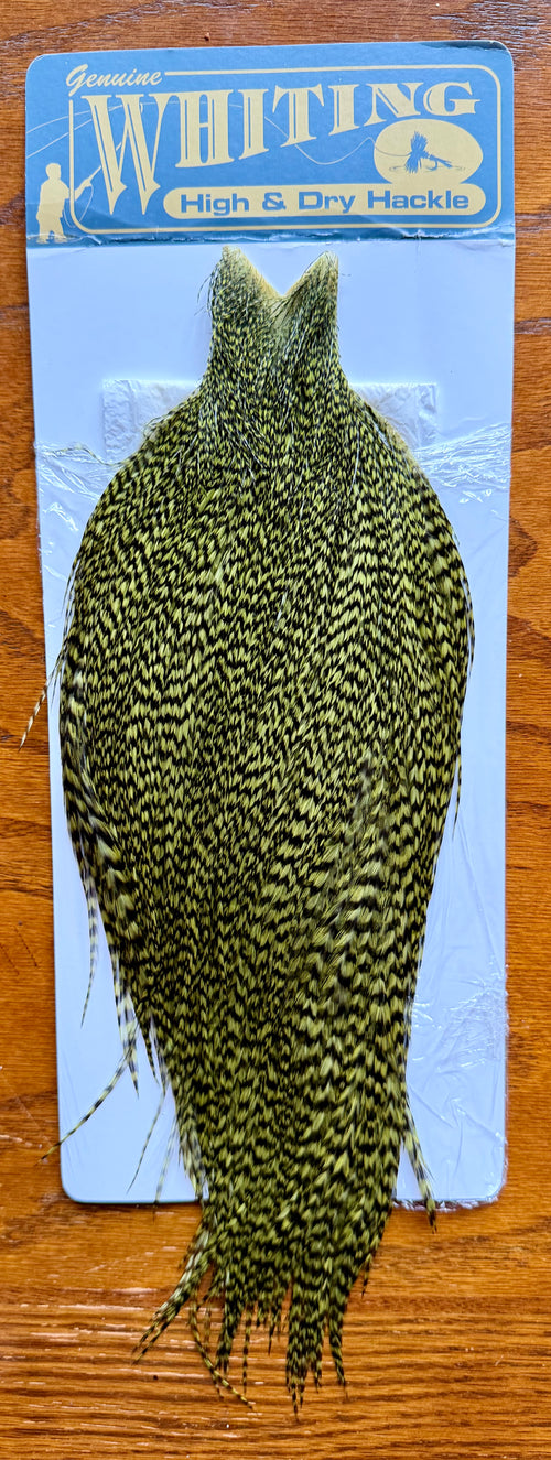 Whiting High and Dry Rooster Cape Grizzly Dyed Olive 336-SH-E-L