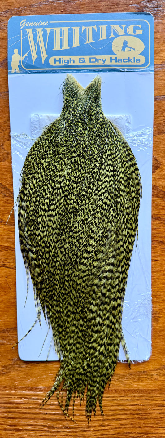 Whiting High and Dry Rooster Cape Grizzly Dyed Olive 336-SH-E-L