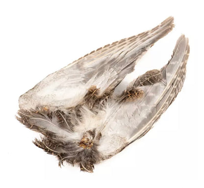 Veniard English Partridge Wings