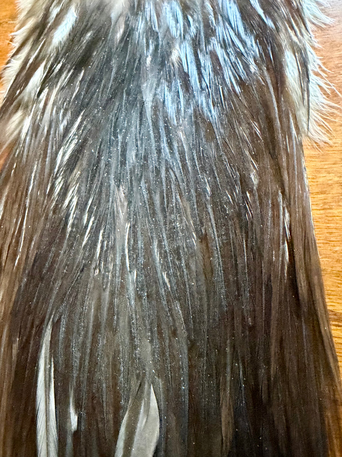 Metz Saddle, Dun 450-SH-E-L