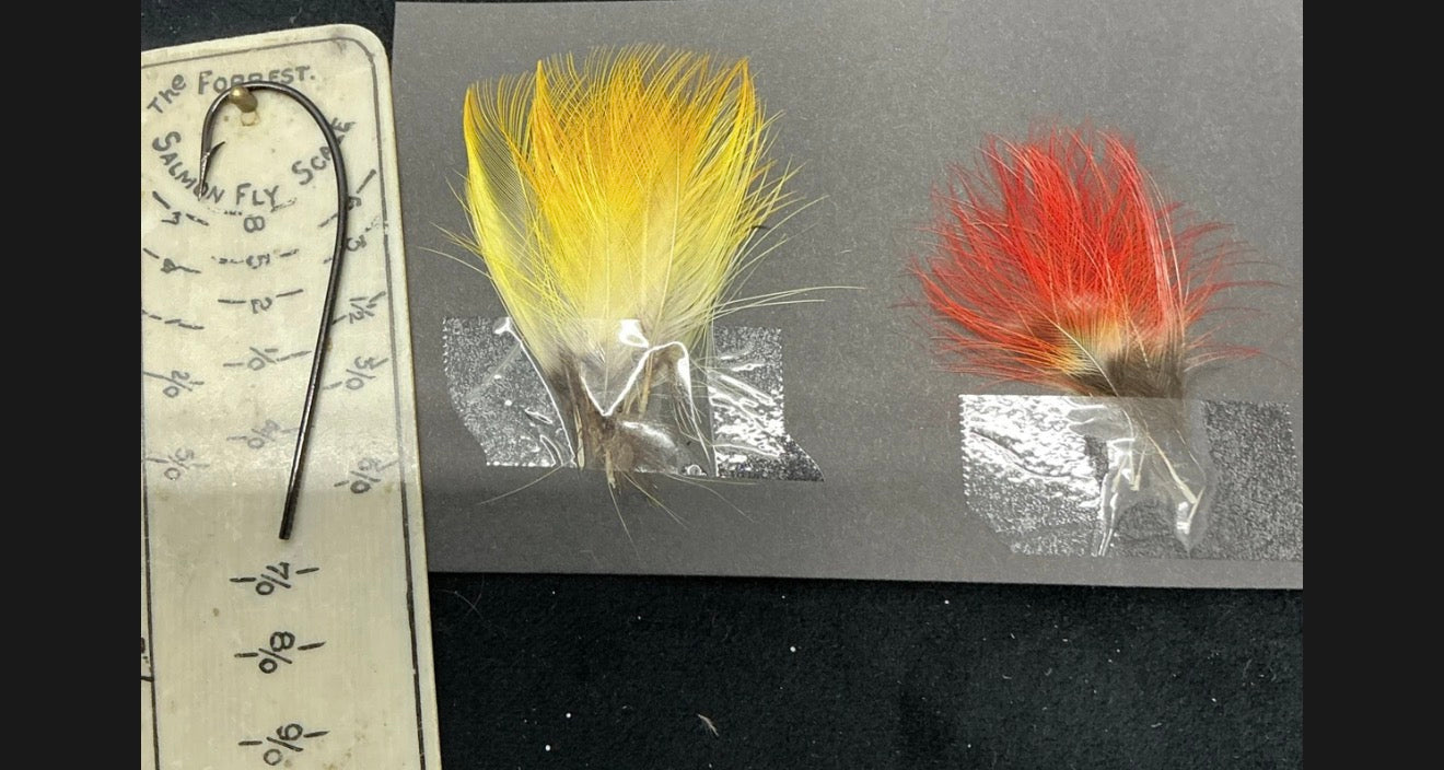 XL TOUCAN FEATHERS SALMON FLY TYING  FLIES-RARE (1 DOZ)