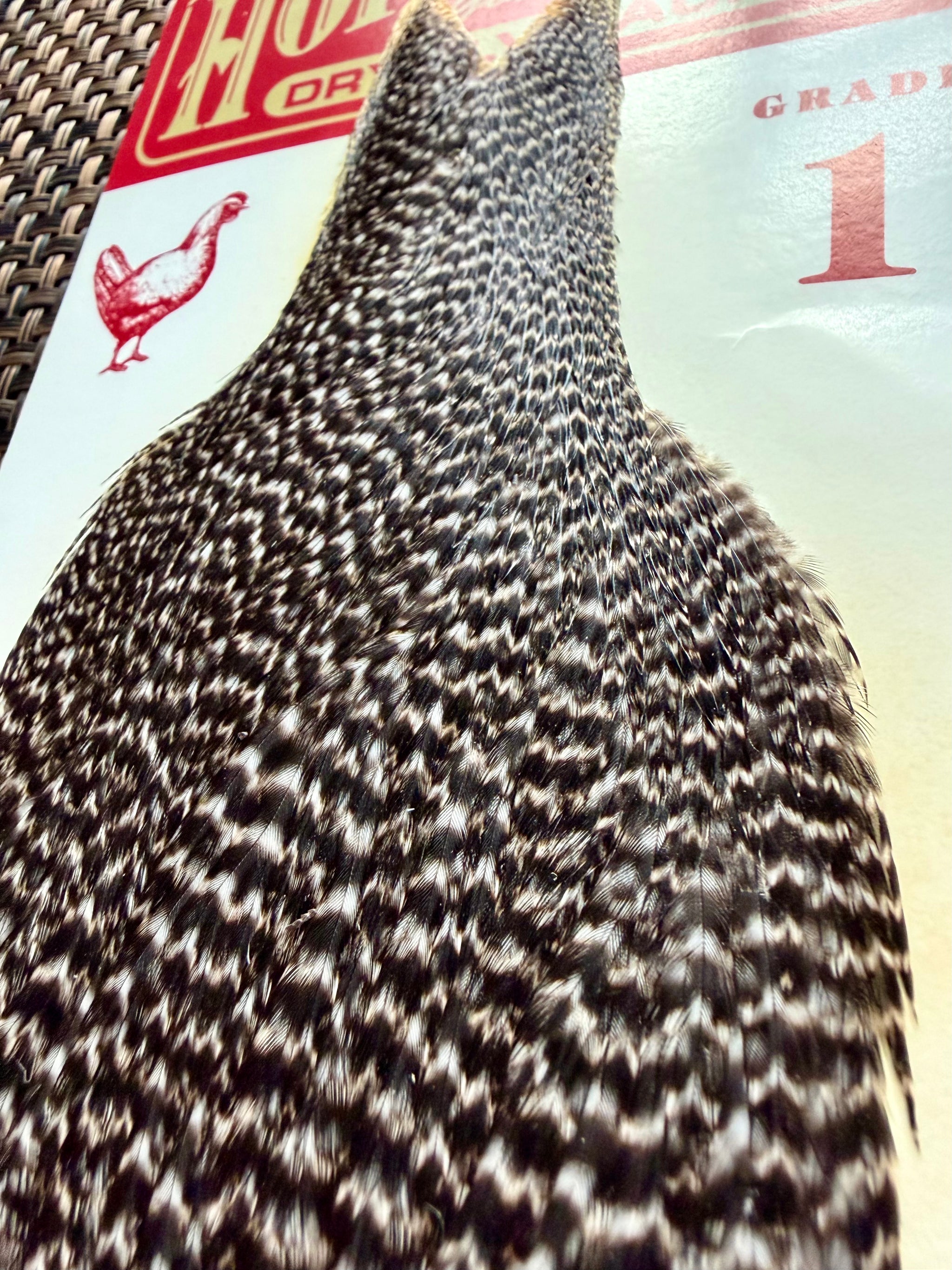 Hoffman Grade 1 Hen Cape Grizzly 288-SH-E-L