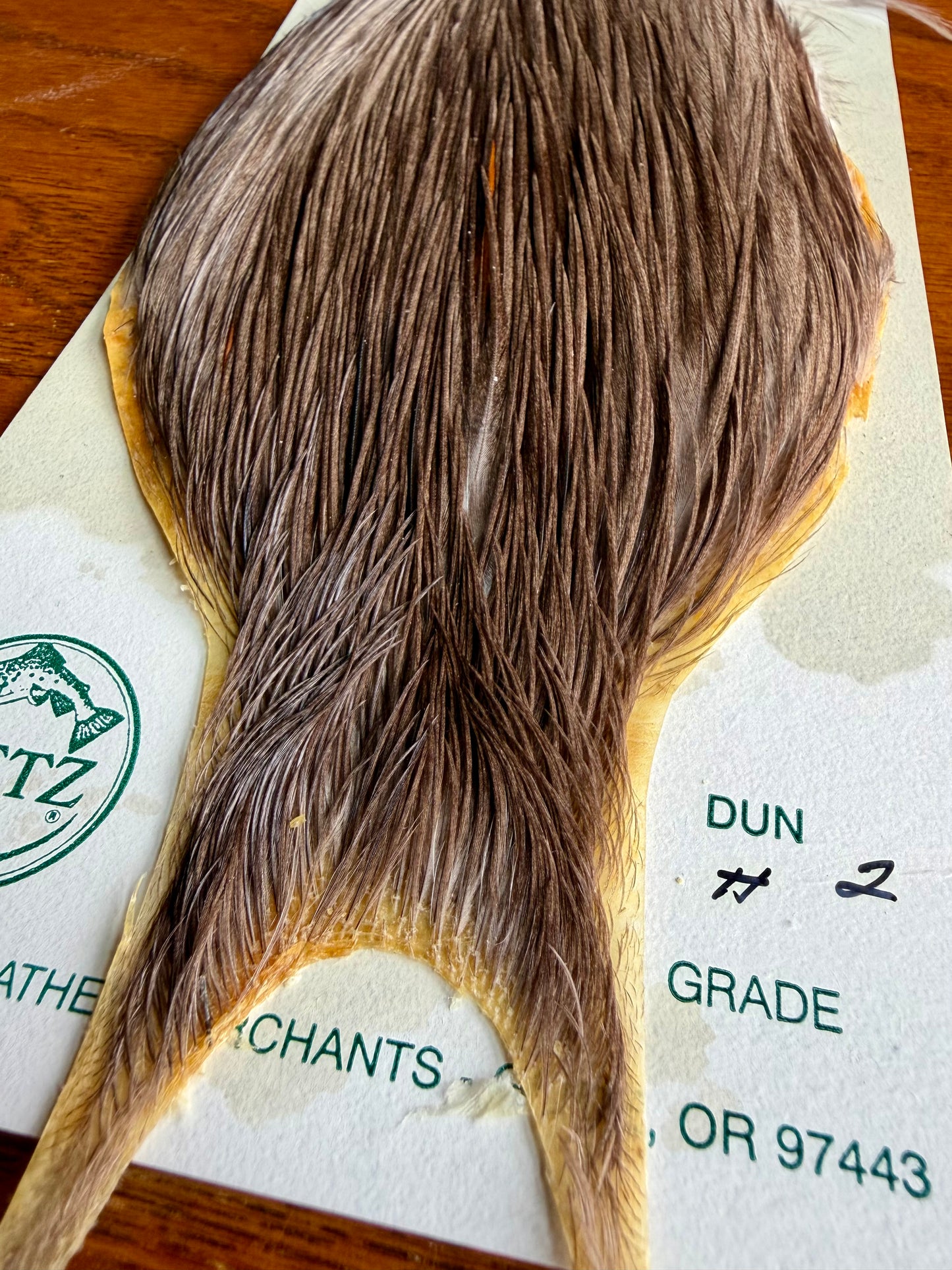 Metz Grade #2 Cape Dun 610-SH-E-L