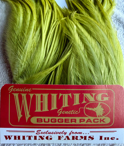 Whiting Bugger Pack White Dyed Olive 734-SH-E-L