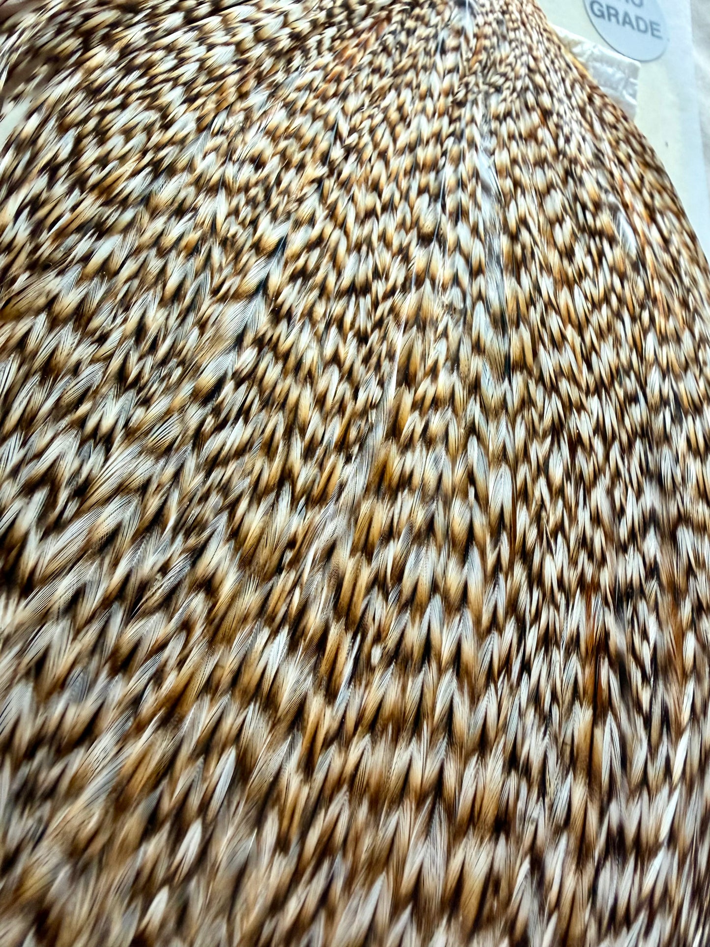 Whiting Farms Hebert Miner Pro-Grade Cape Grizzly Variant 295-SH-E-L