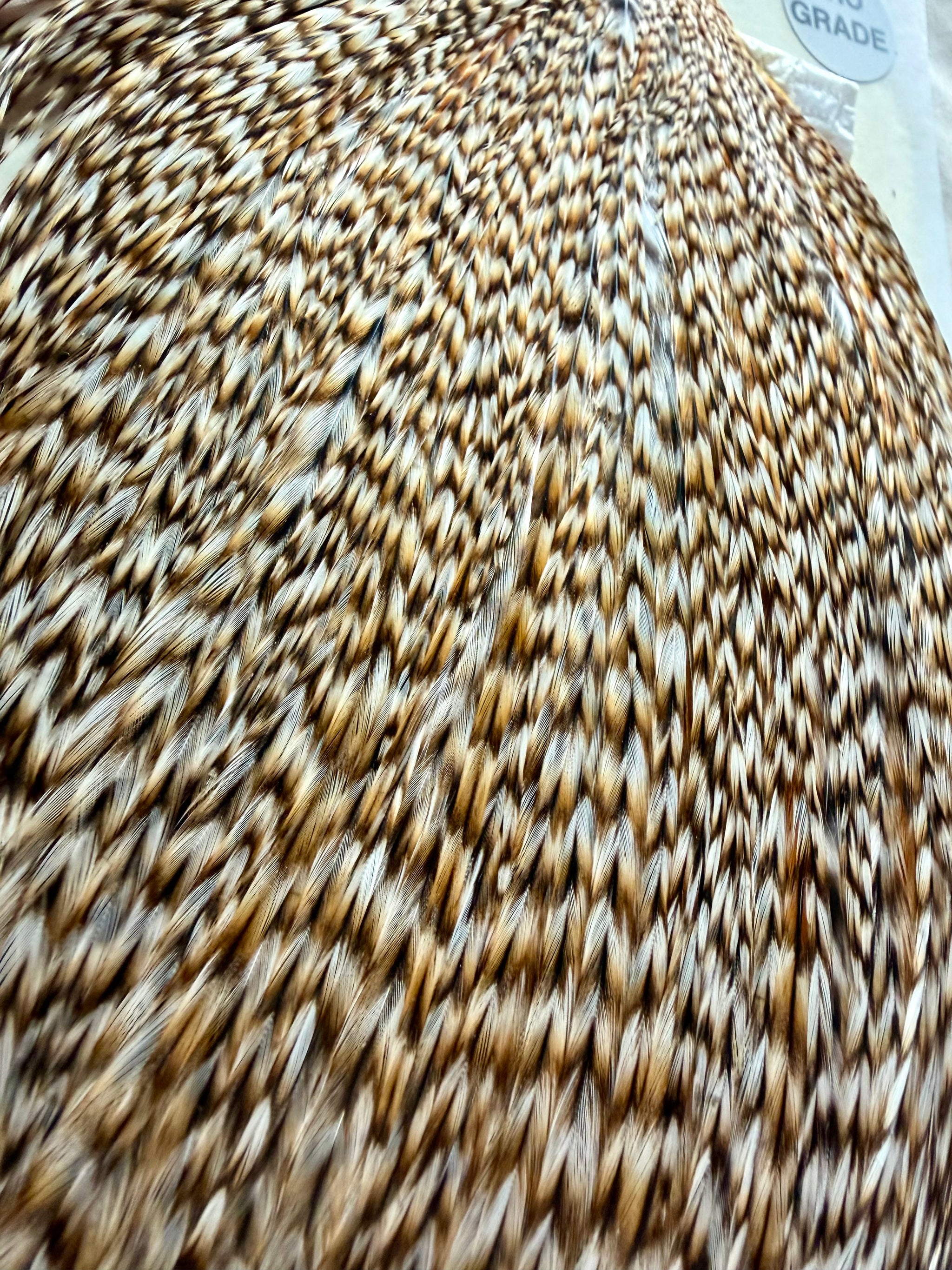 Whiting Farms Hebert Miner Pro-Grade Cape Grizzly Variant 295-SH-E-L