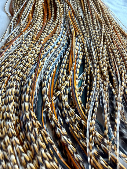 Whiting Farms Silver Grade Rooster Saddle CREE 797-SH-E-L