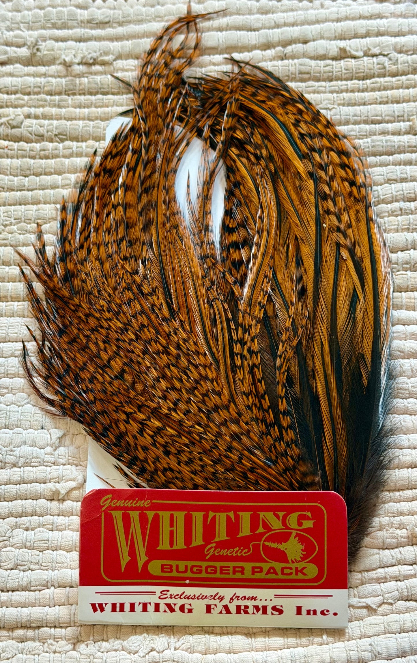 Whiting Bugger Pack Grizzly Dyed Brown 716-SH-E-L