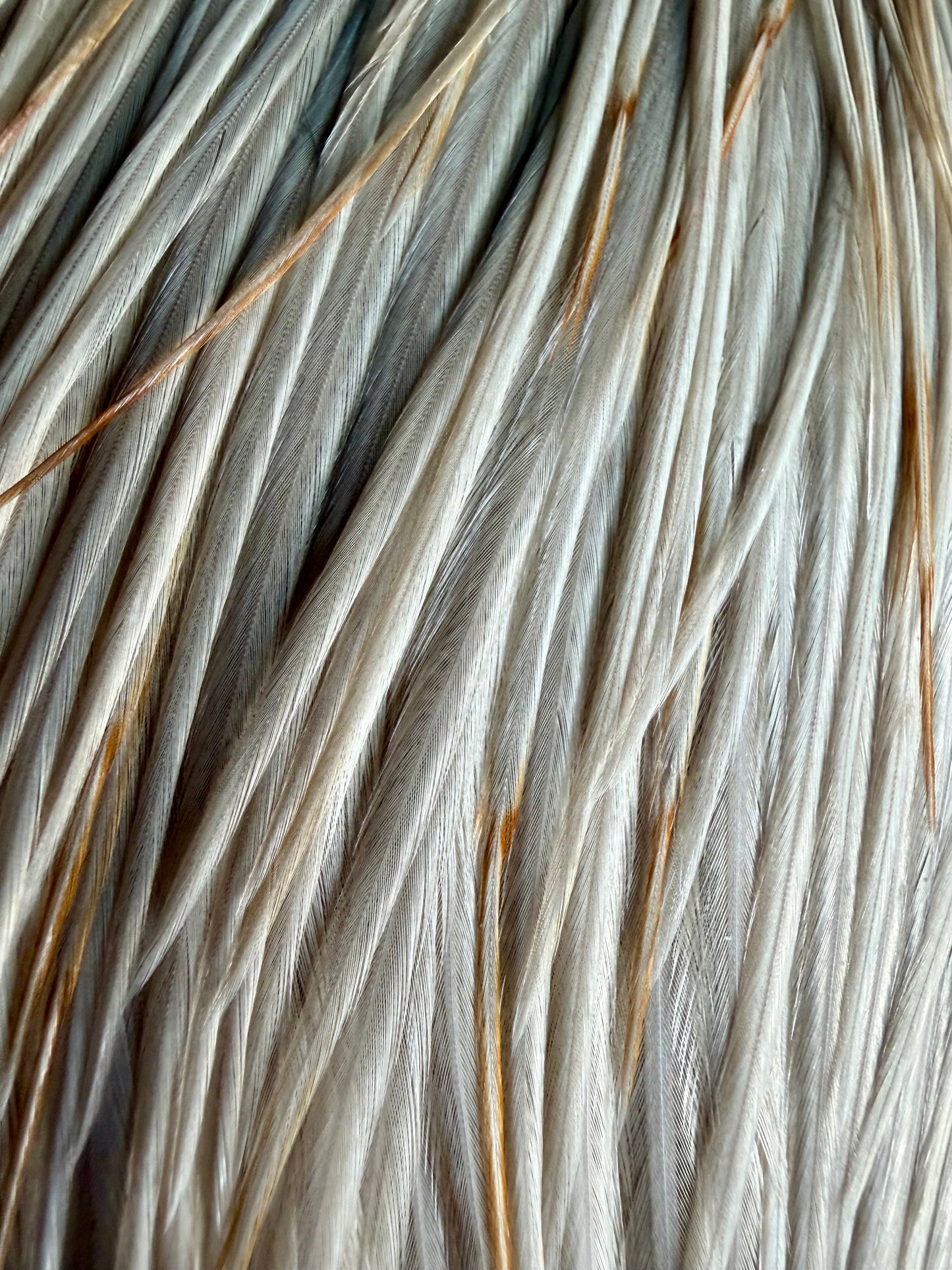 Whiting Hebert Miner Pro Grade Cape Light Tan Dun 762-SH-E-L
