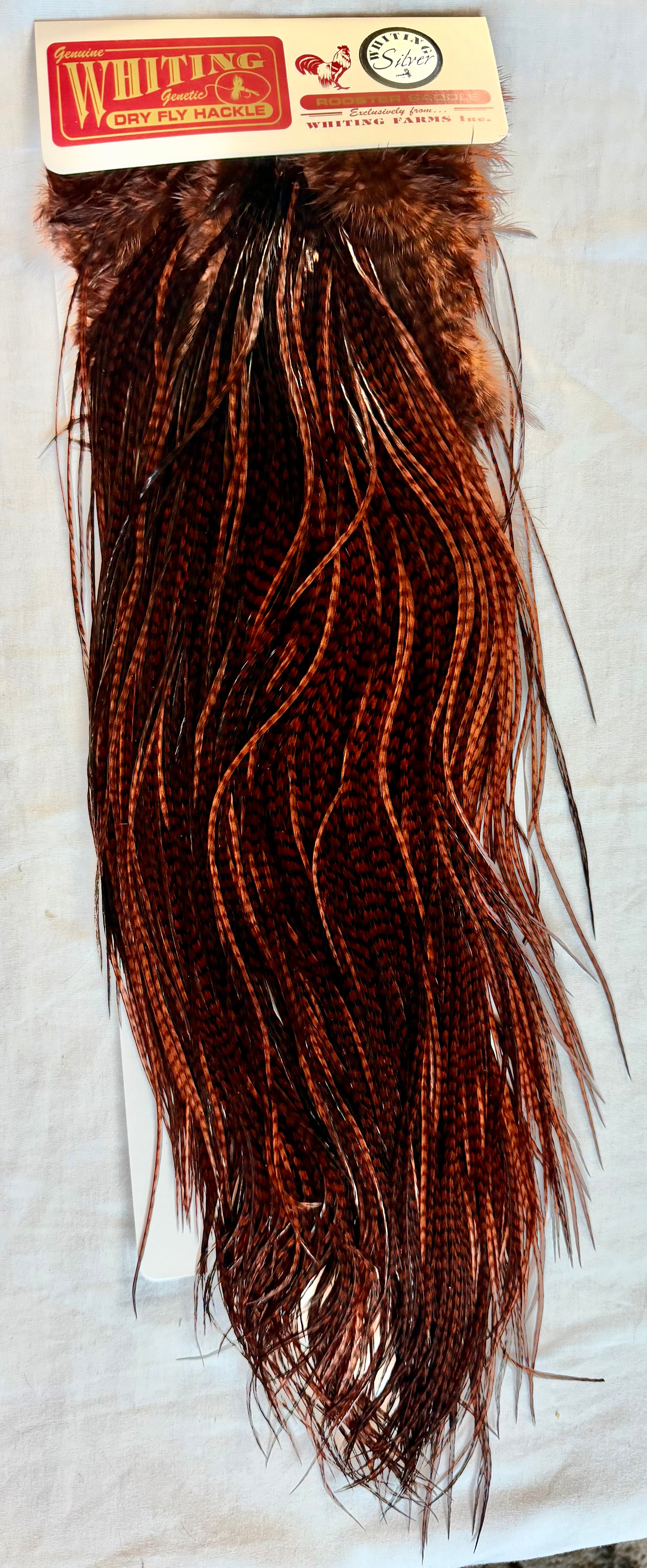 Whiting Farms SILVER Saddle Hackle: GRIZZLY DYED COACHMAN BROWN 077
