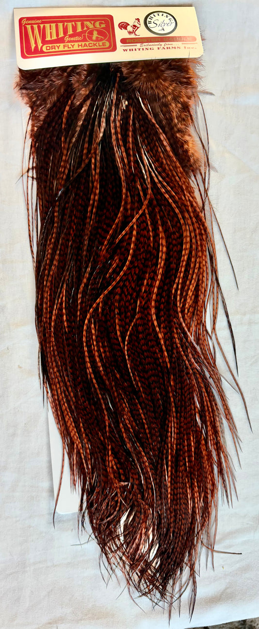 Whiting Farms SILVER Saddle Hackle: GRIZZLY DYED COACHMAN BROWN 080