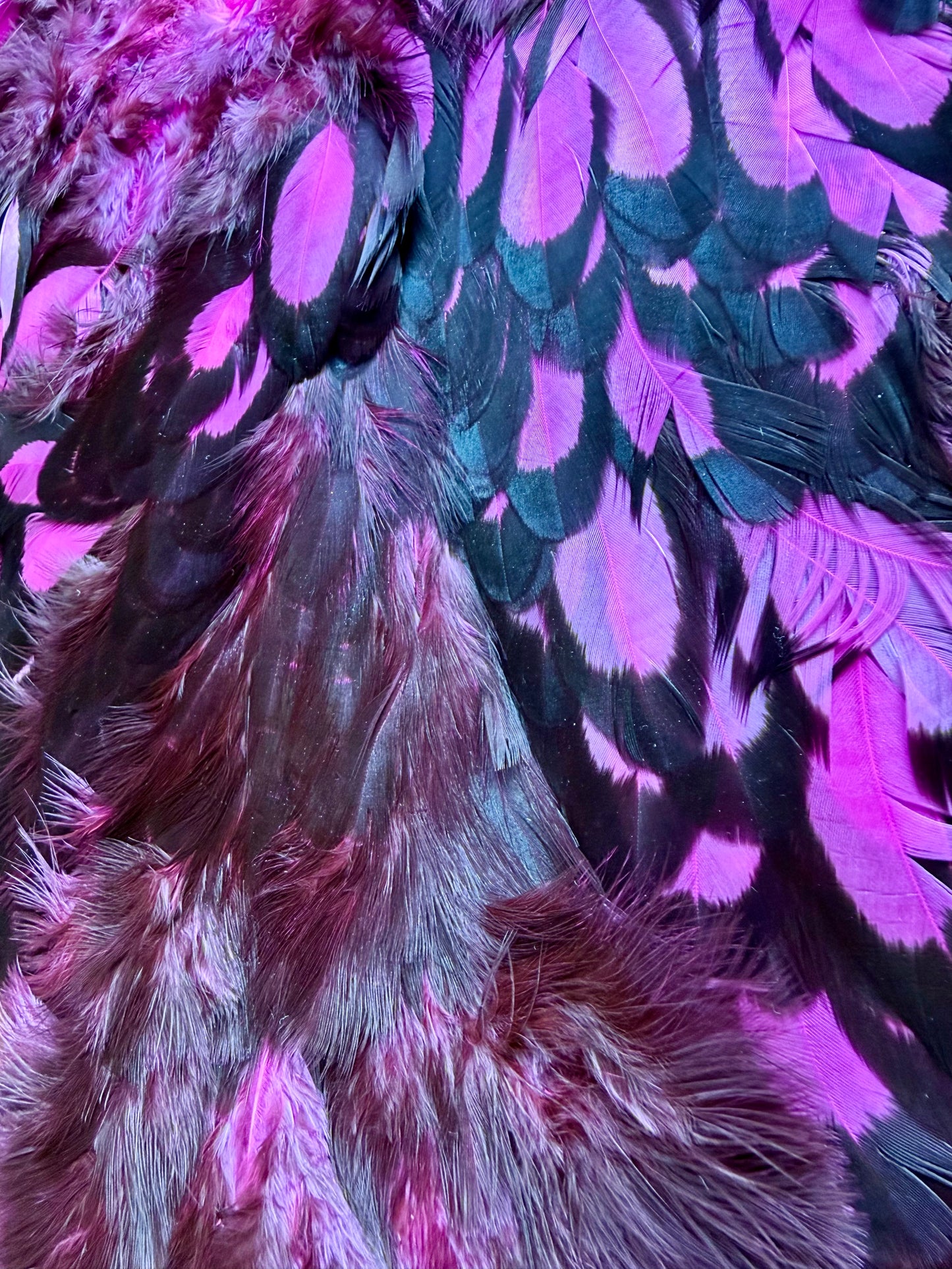 Whiting Hen Soft Hackle/Chickabou Black Laced White Dyed Pink 368-SH-E-L