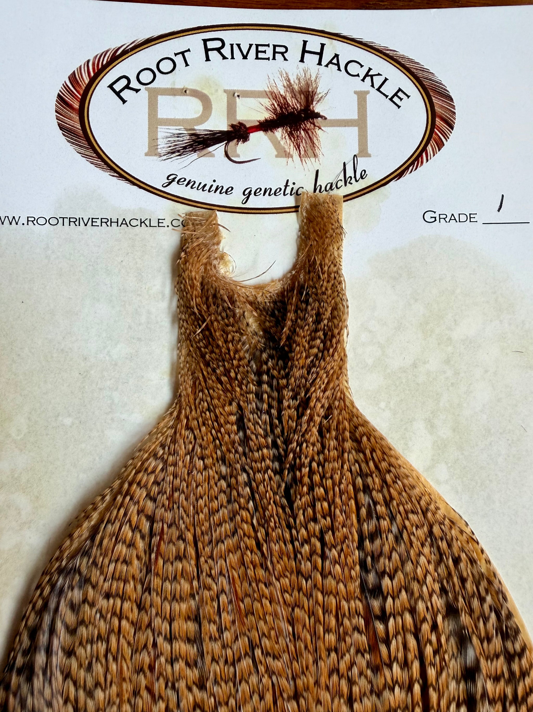 Root River Hackle Grade #1 Cree Cape 693-SH-E-L