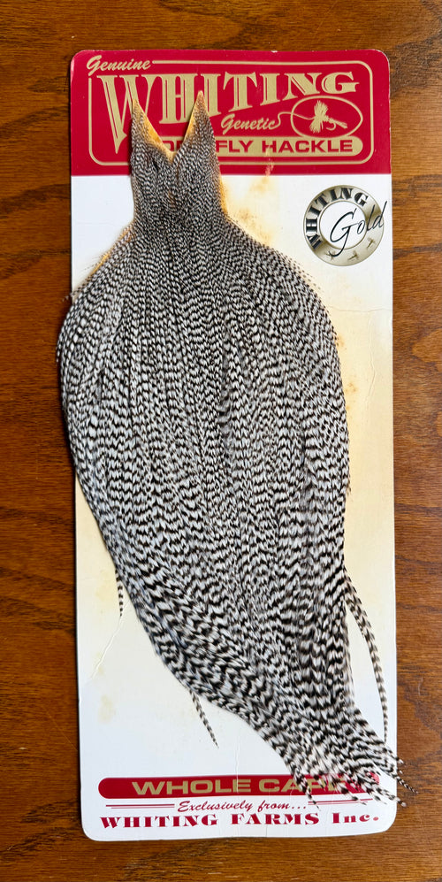 Whiting Gold Grade Rooster Cape Grizzly 788-SH-E-L