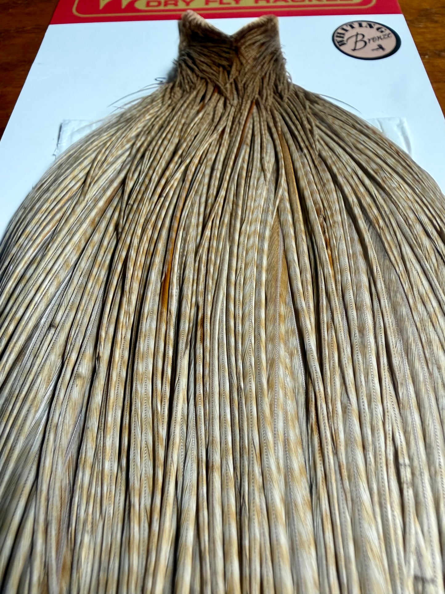 Whiting Farms Bronze Grade Cape Unique Variant 674-SH-E-L