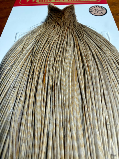 Whiting Farms Bronze Grade Cape Unique Variant 674-SH-E-L