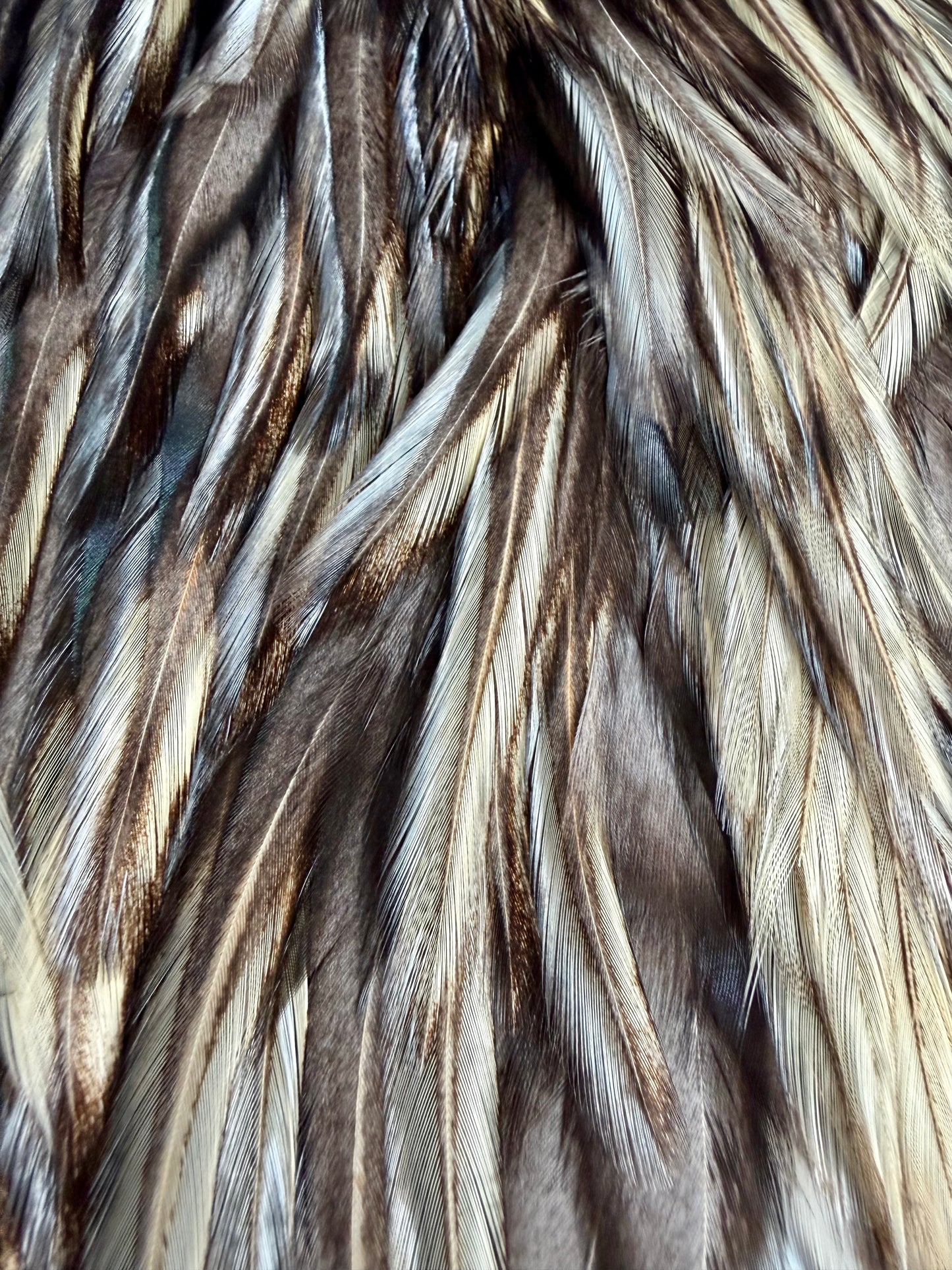 Whiting American Hackle Bronze Rooster Saddle Golden Badger 626-SH-E-L