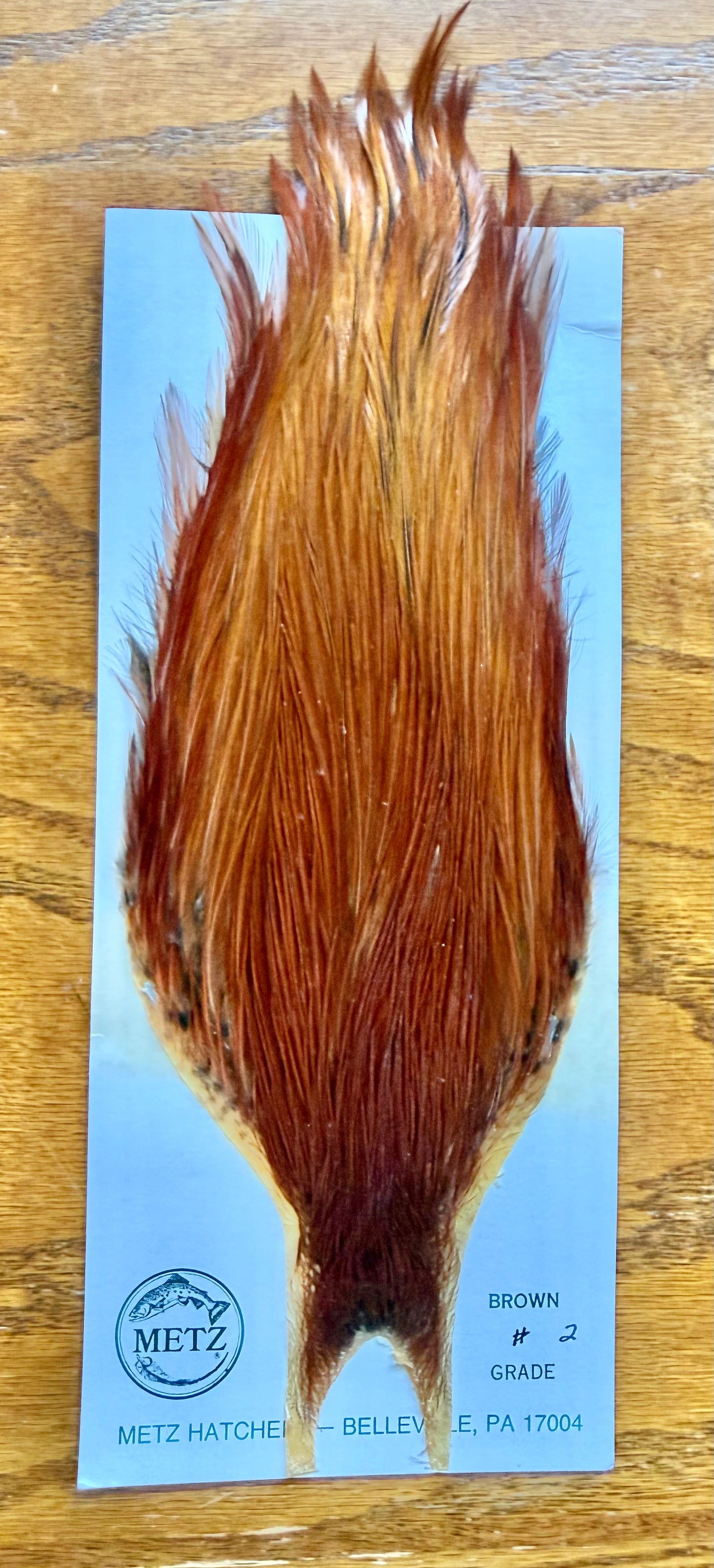 Metz Grade # 2 Cape Brown 508-SH-E-L